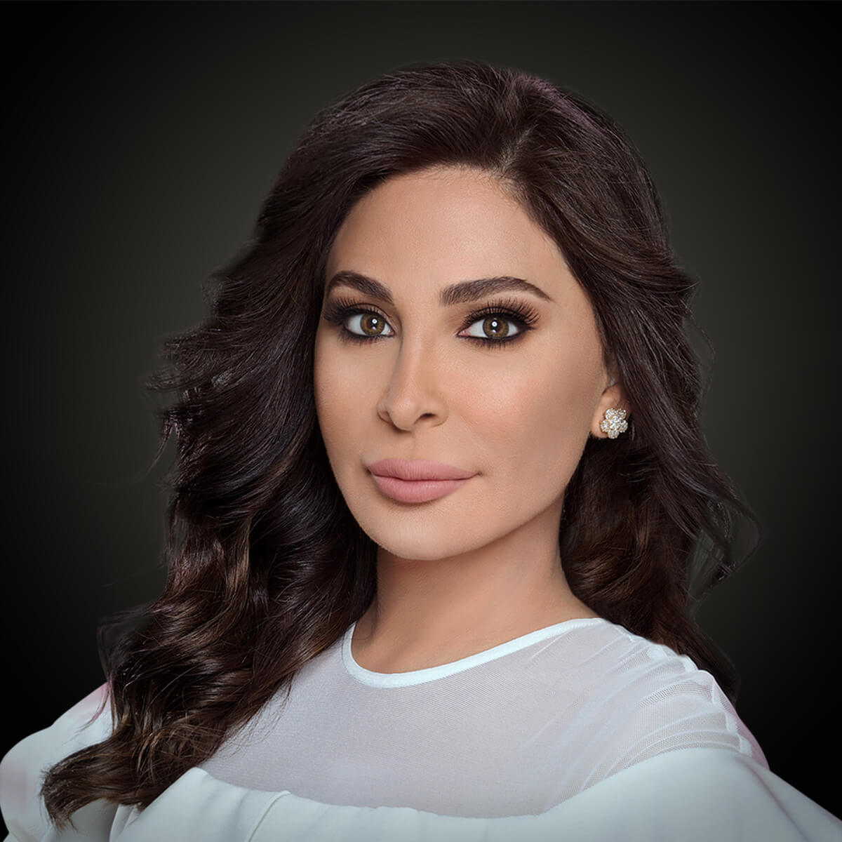 Elissa (Arab/Arabic singer) | AI RVC Model 